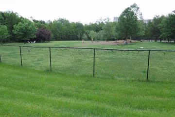 Duke Street Dog Park